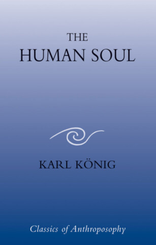The Human Soul