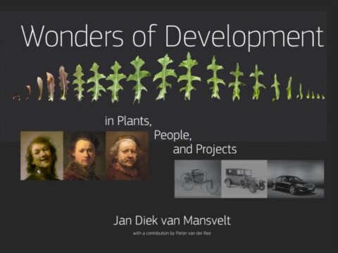 Wonders of Development in Plants, People, and Projects