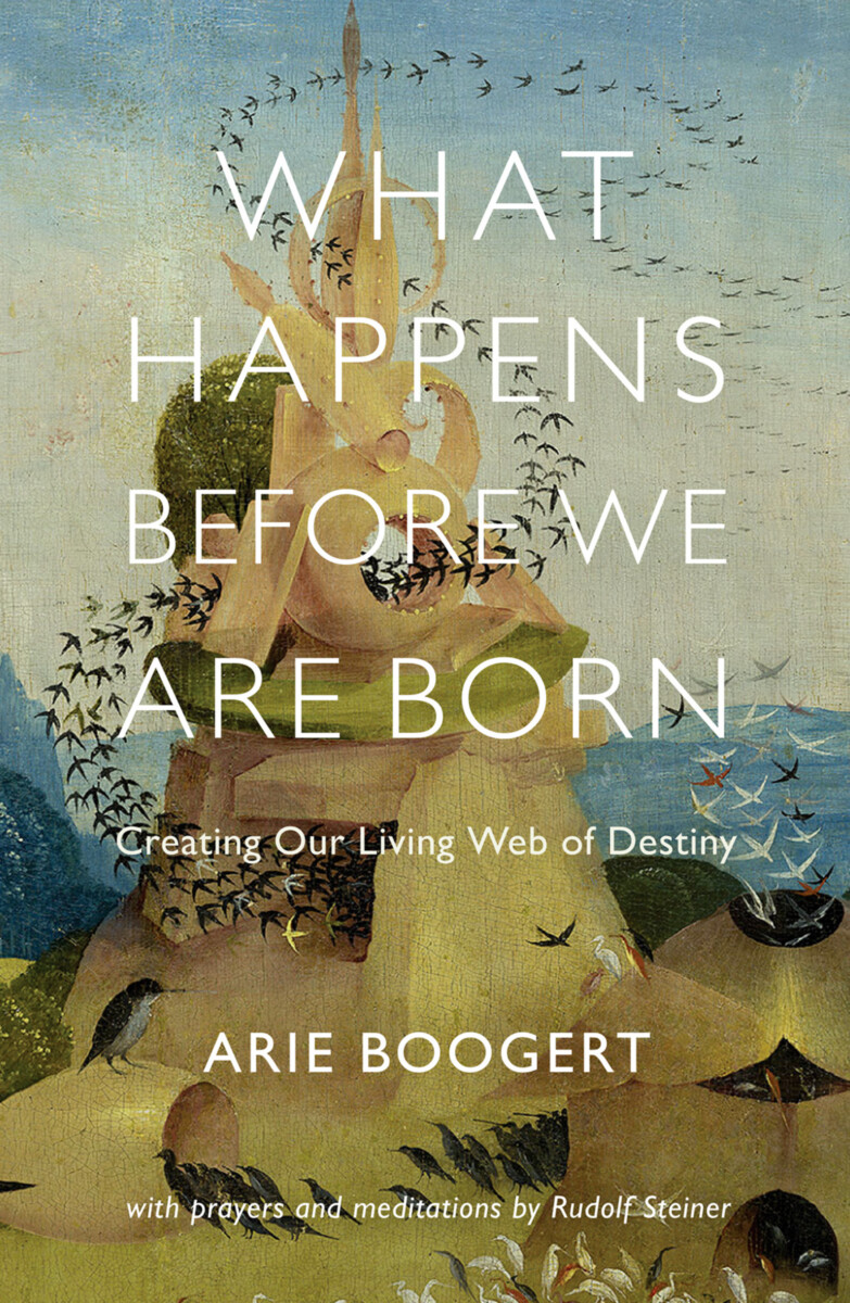 What Happens before We Are Born