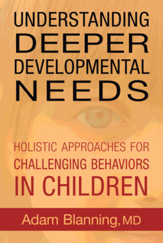 Understanding Deeper Developmental Needs