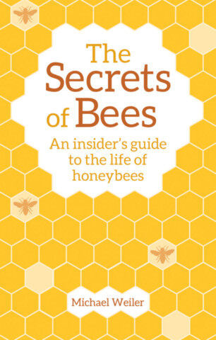 The Secrets of Bees