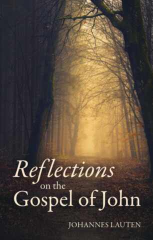 Reflections on the Gospel of John