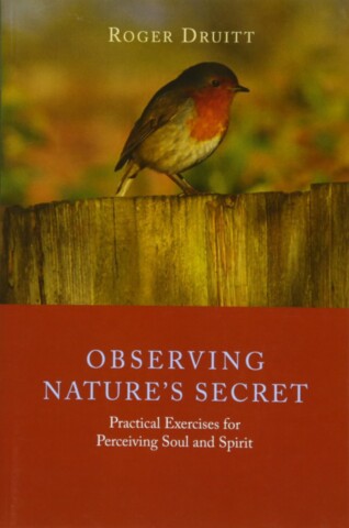 Observing Nature’s Secret