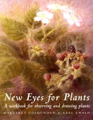 New Eyes for Plants