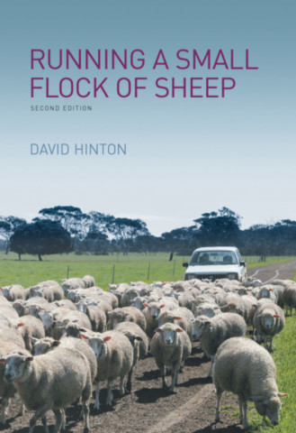 Running a Small Flock of Sheep