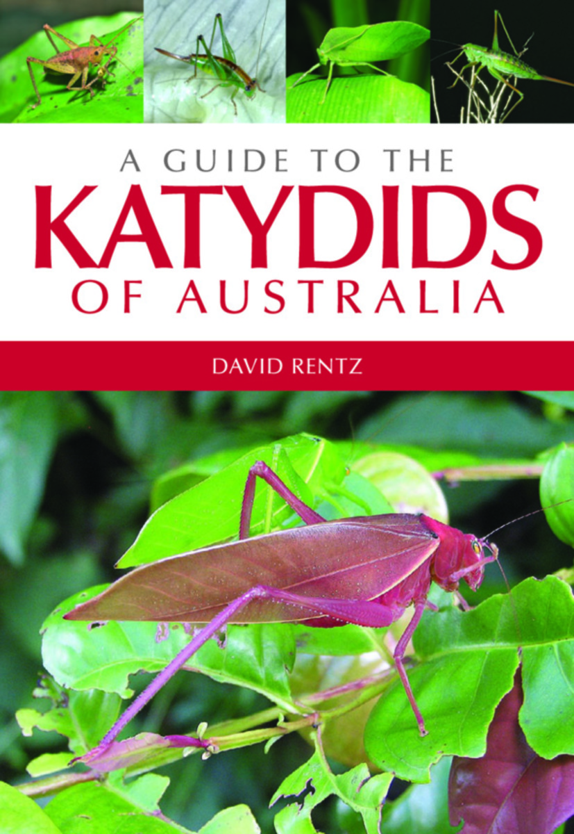 A Guide to the Katydids of Australia