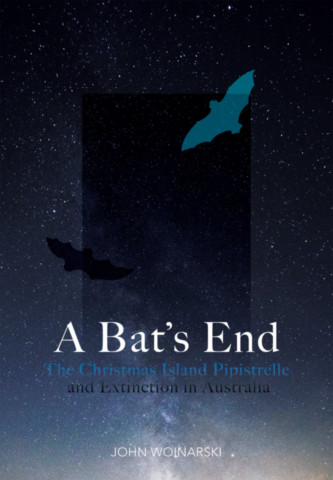 A Bat's End