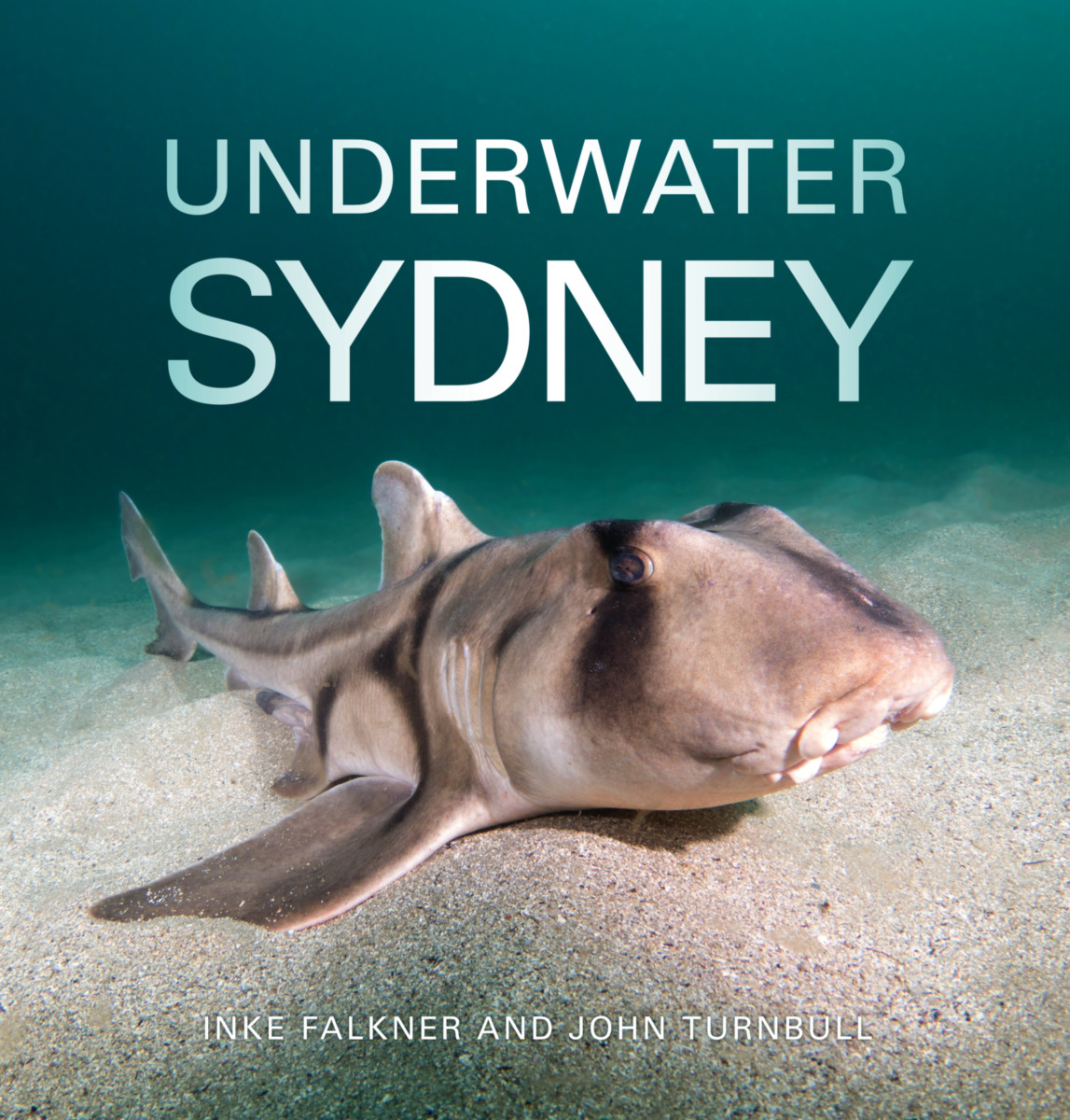 Underwater Sydney