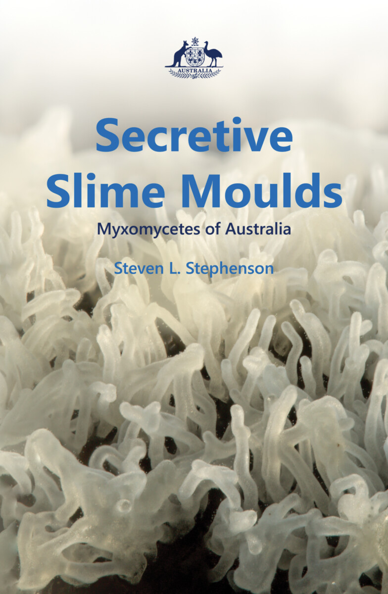 Secretive Slime Moulds