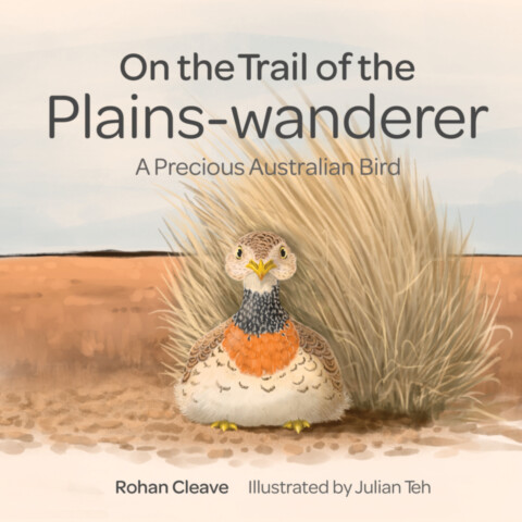 On the Trail of the Plains-wanderer