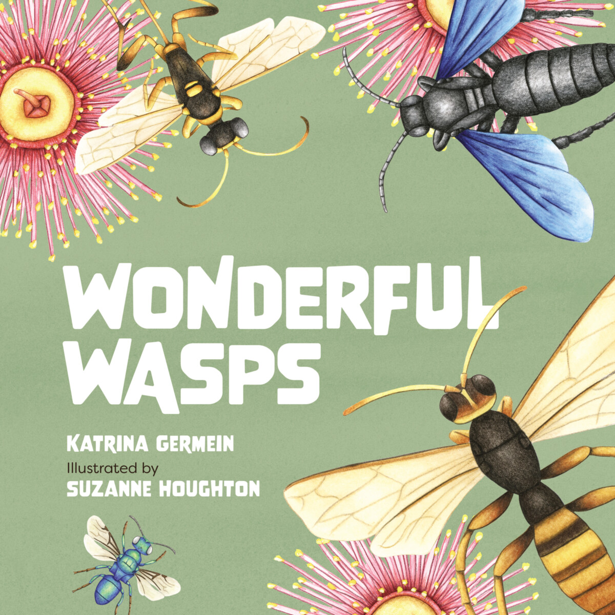 Wonderful Wasps