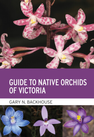 Guide to Native Orchids of Victoria
