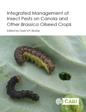 Integrated Management of Insect Pests on Canola and Other <i>Brassica</i> Oilseed Crops