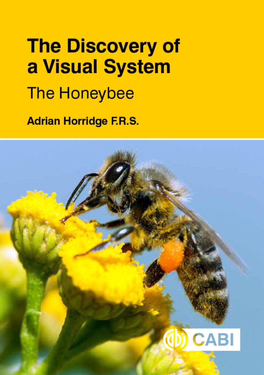 The Discovery of a Visual System - The Honeybee