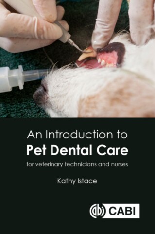 An Introduction to Pet Dental Care