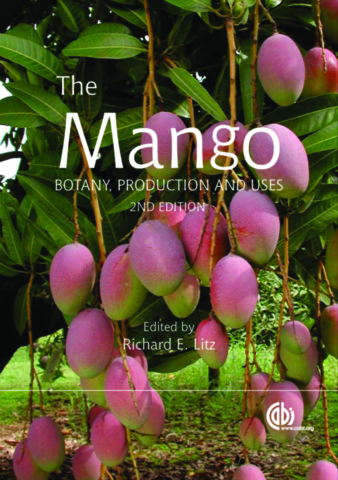 The Mango
