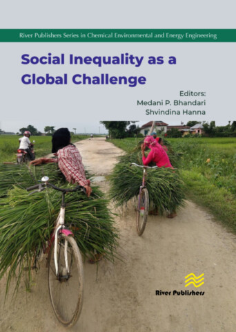 Social Inequality as a Global Challenge