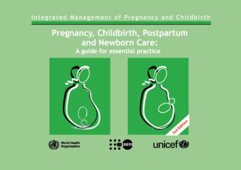 Pregnancy, Childbirth, Postpartum and Newborn Care