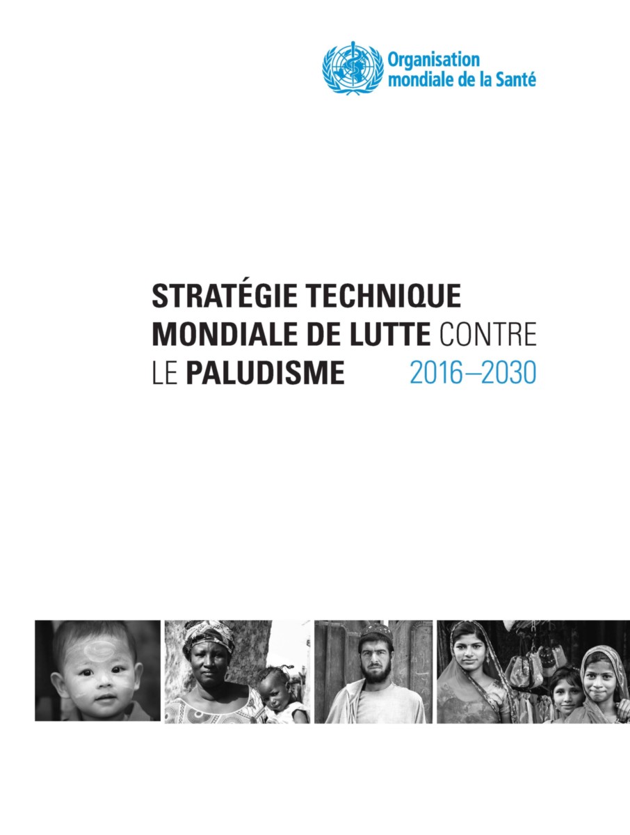 Stratégie technique mondiale de lutte contre le paludisme 2016-2030
