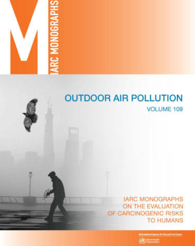 Outdoor Air Pollution