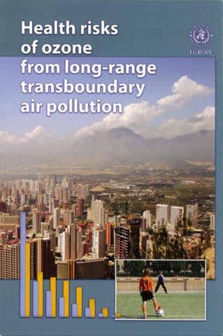Health Risks of Ozone from Long-range Transboundary Air Pollution