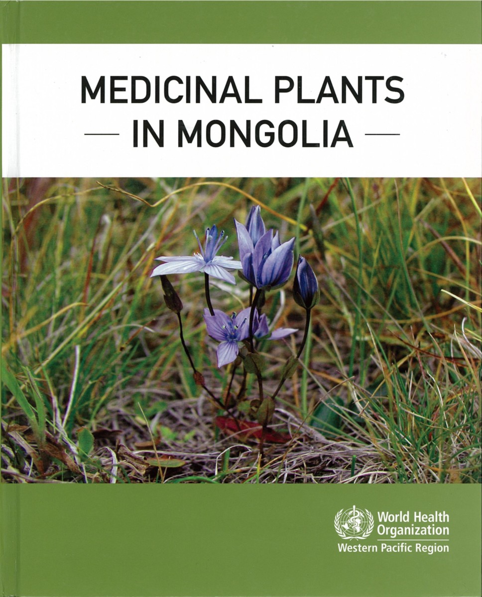 Medicinal Plants in Mongolia
